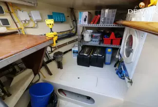 Thumbnail von Pilot Whale 45