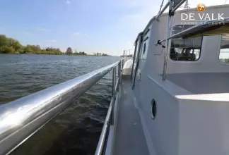 Thumbnail von Pilot Whale 45