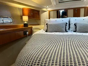 Thumbnail von Sealine F37 Just Kate