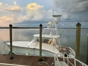 Thumbnail von Custom Carolina Warren O'neal 2015 Renovation CAZADORA