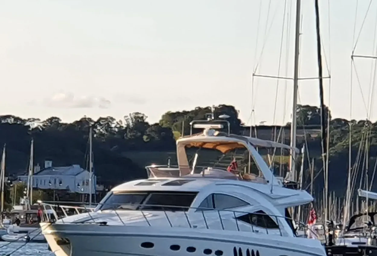 Thumbnail von Sealine T60 LILLY B