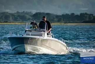 Thumbnail von Boston Whaler 220 Dauntless