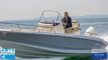 Thumbnail von Boston Whaler 220 Dauntless