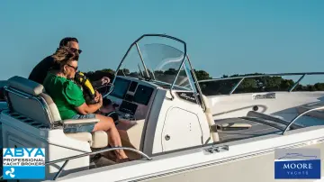 Thumbnail von Boston Whaler 220 Dauntless