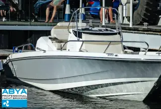 Thumbnail von Boston Whaler 220 Dauntless