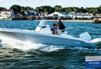 Thumbnail von Boston Whaler 220 Dauntless