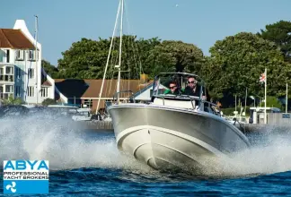 Thumbnail von Boston Whaler 220 Dauntless