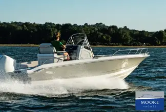 Thumbnail von Boston Whaler 220 Dauntless