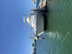 Thumbnail von Tiara Yachts 43 Open