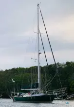 Thumbnail von Alajuela 38 Narnia