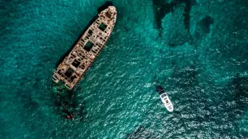 Thumbnail von Beneteau Swift Trawler 35 NEW, ORDER TODAY