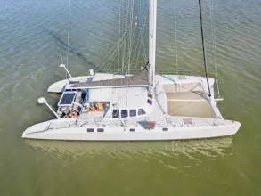 Cambria 60 Cool Cat