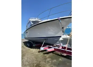 Thumbnail von Storebro Royal Cruiser 40 Biscay