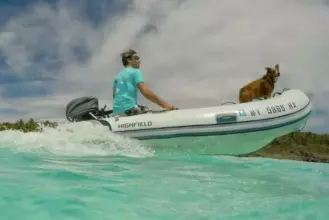 Thumbnail von Highfield Classic 360