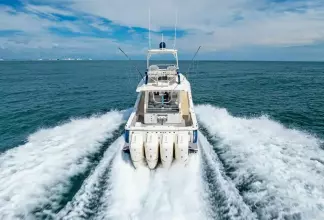 Thumbnail von Scout 53 BOTTOM LINE