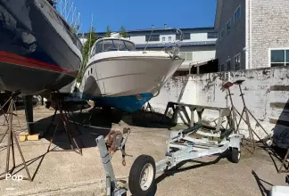 Thumbnail von Sea Ray 330 Sundancer