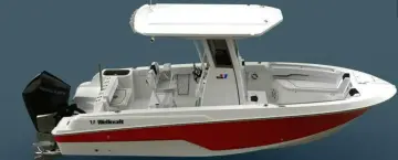 Wellcraft Fisherman 223