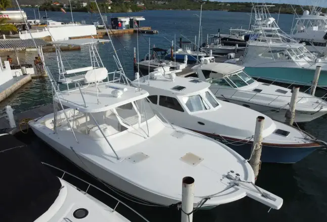 Luhrs 36 Açık