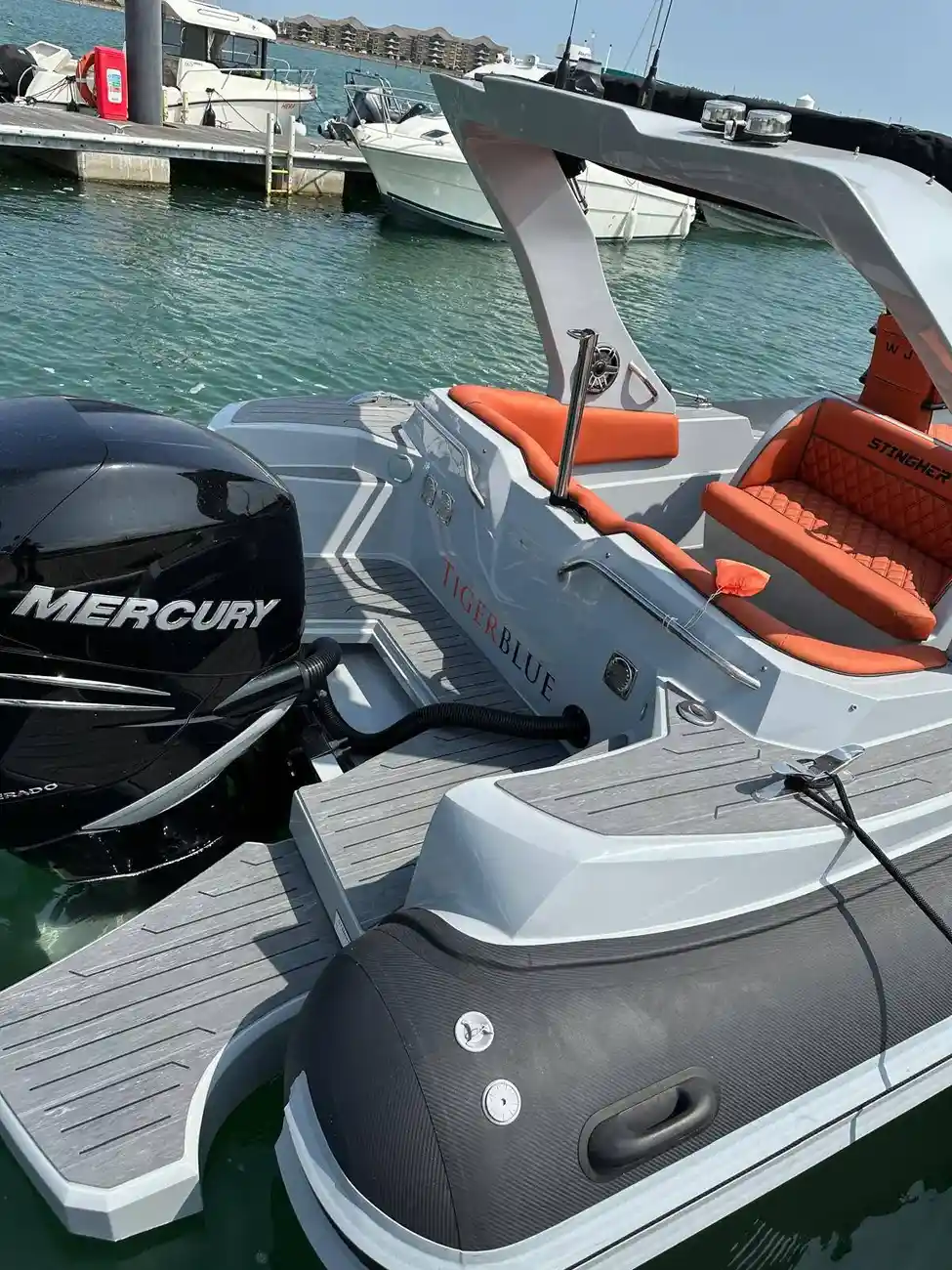 Thumbnail von Stingher 900 Gt