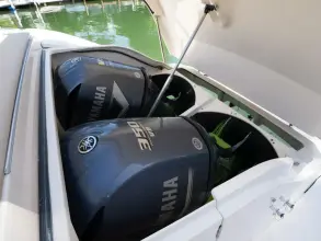 Thumbnail von Pursuit 365I SC Free Spirit