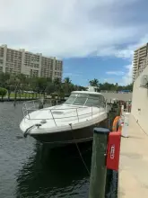 Thumbnail von Sea Ray 420 Sundancer Lucky Duck