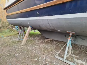 Thumbnail von Nelson 40 Aquila