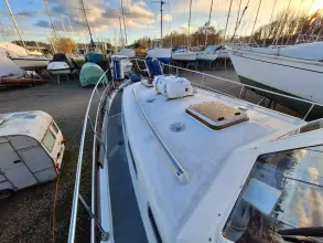 Thumbnail von Nelson 40 Aquila