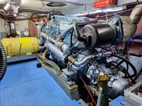 Thumbnail von Nelson 40 Aquila