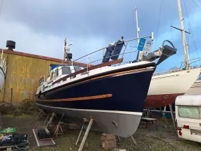 Thumbnail von Nelson 40 Aquila