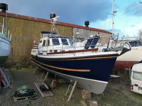 Thumbnail von Nelson 40 Aquila