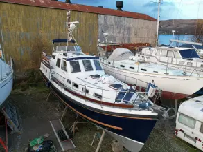 Thumbnail von Nelson 40 Aquila