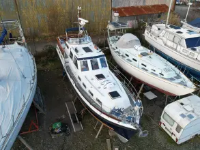 Thumbnail von Nelson 40 Aquila