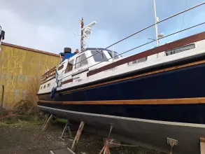 Thumbnail von Nelson 40 Aquila