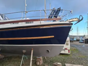 Thumbnail von Nelson 40 Aquila