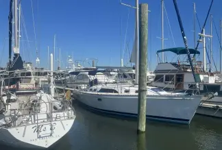 Thumbnail von Catalina 385 Genesis