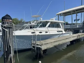 Thumbnail von Back Cove 34 No Pressure