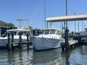 Thumbnail von Back Cove 34 No Pressure