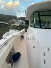 Thumbnail von Grady White 366 Canyon