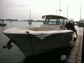 Thumbnail von Grady White 366 Canyon