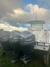 Thumbnail von Grady White 366 Canyon