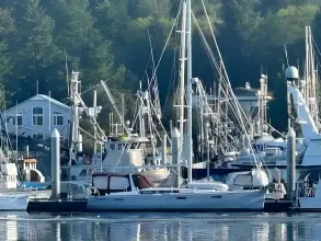 Thumbnail von Beneteau Oceanis 45