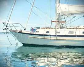 Thumbnail von Pacific Seacraft 37 REMEDY