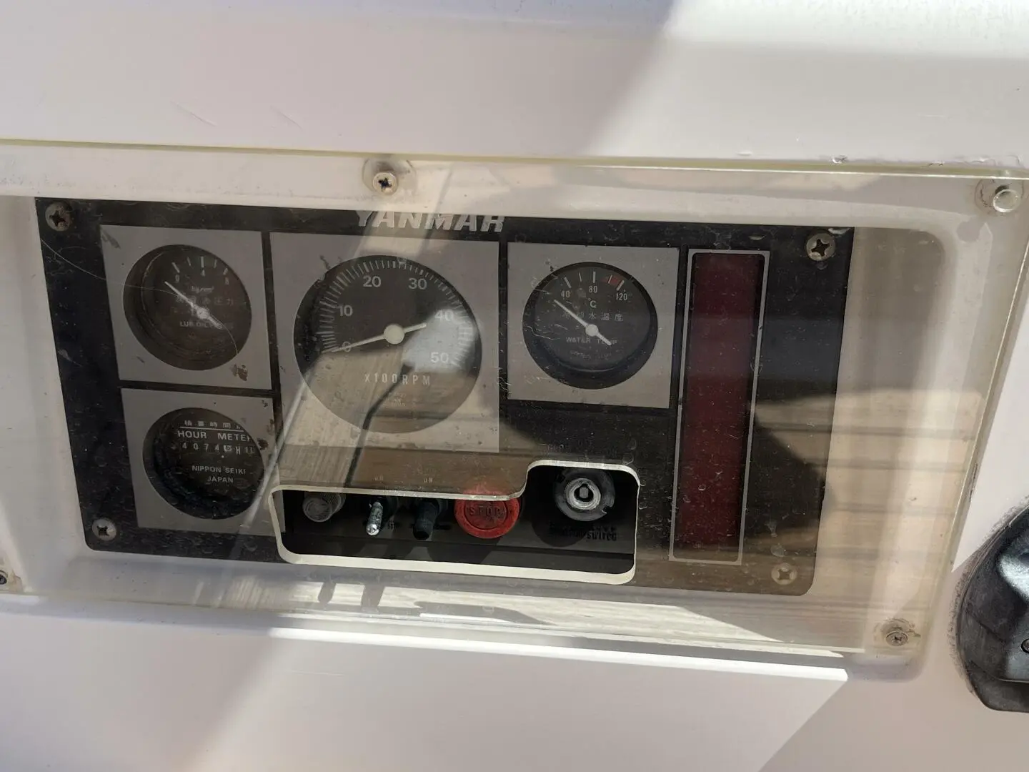 Thumbnail von Santa Cruz 52 MEDUSA