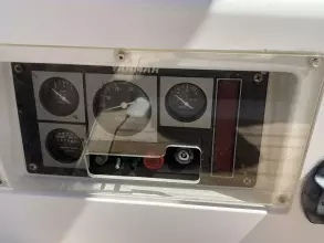 Thumbnail von Santa Cruz 52 MEDUSA