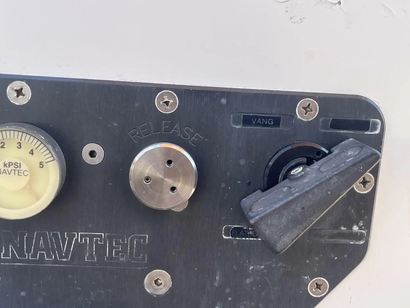 Thumbnail von Santa Cruz 52 MEDUSA