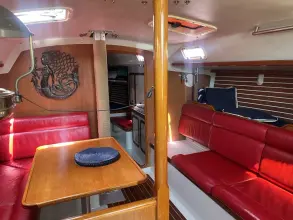 Thumbnail von Santa Cruz 52 MEDUSA