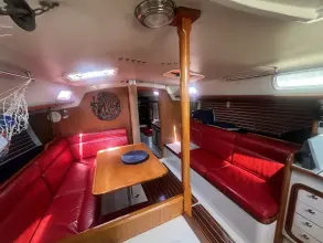Thumbnail von Santa Cruz 52 MEDUSA