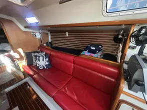 Thumbnail von Santa Cruz 52 MEDUSA