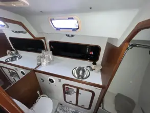Thumbnail von Santa Cruz 52 MEDUSA