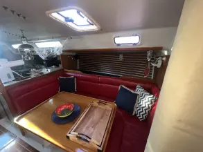 Thumbnail von Santa Cruz 52 MEDUSA